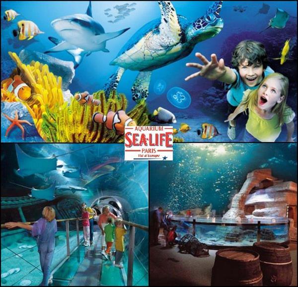 Disney Appartement Quincy-Voisins